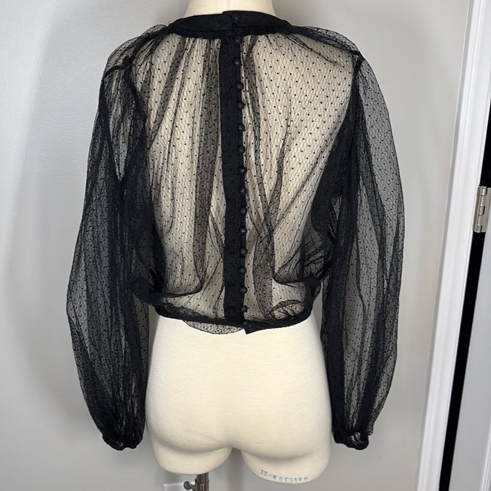 Sheer lace, long sleeve black top
